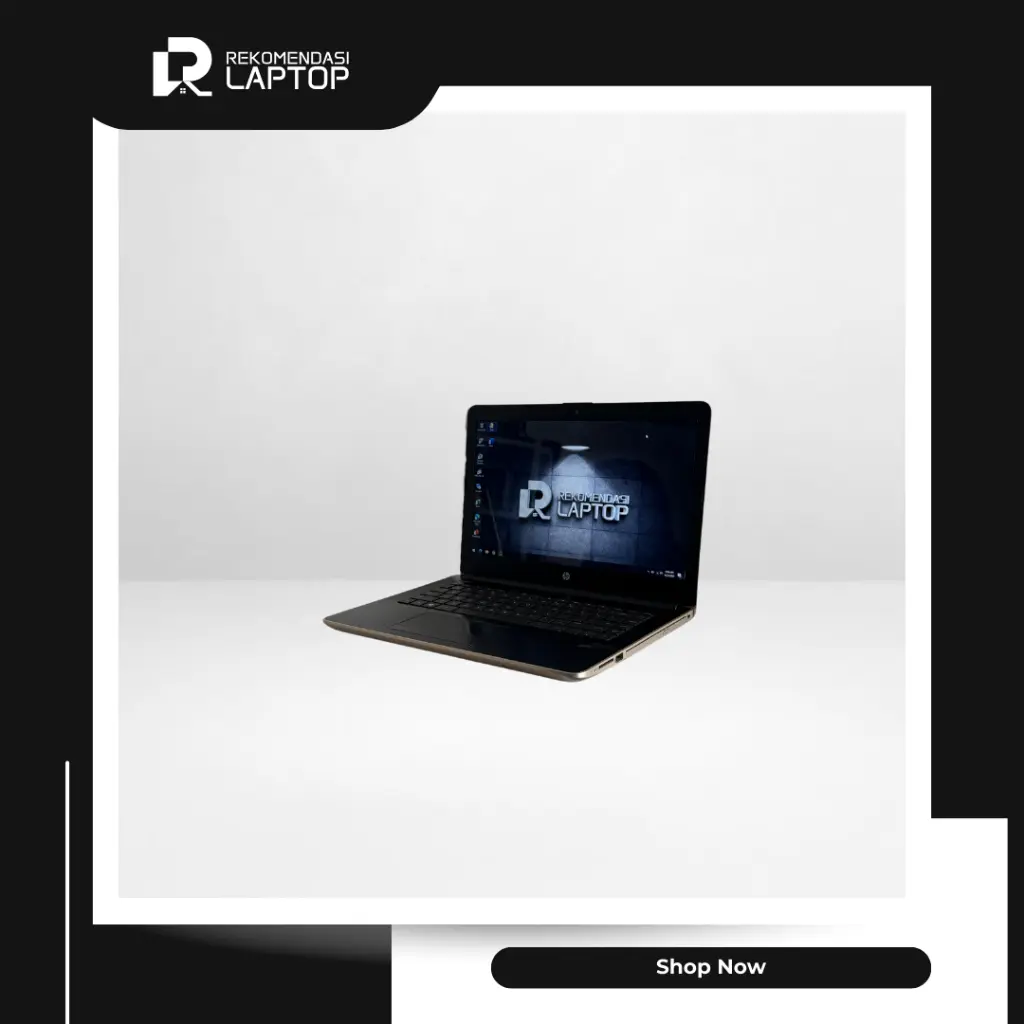 5.webp