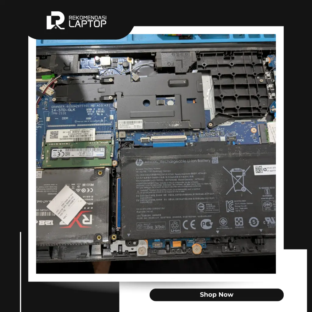 10.webp