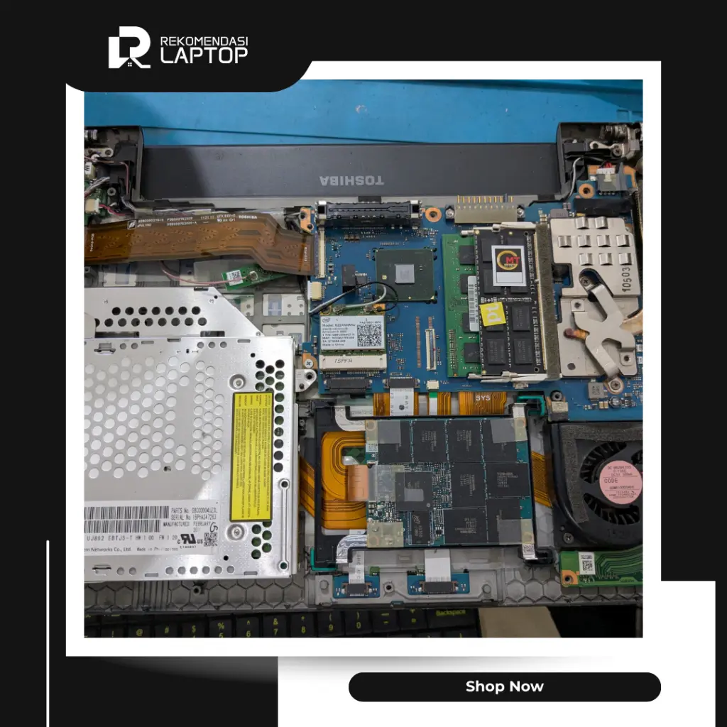 10.webp