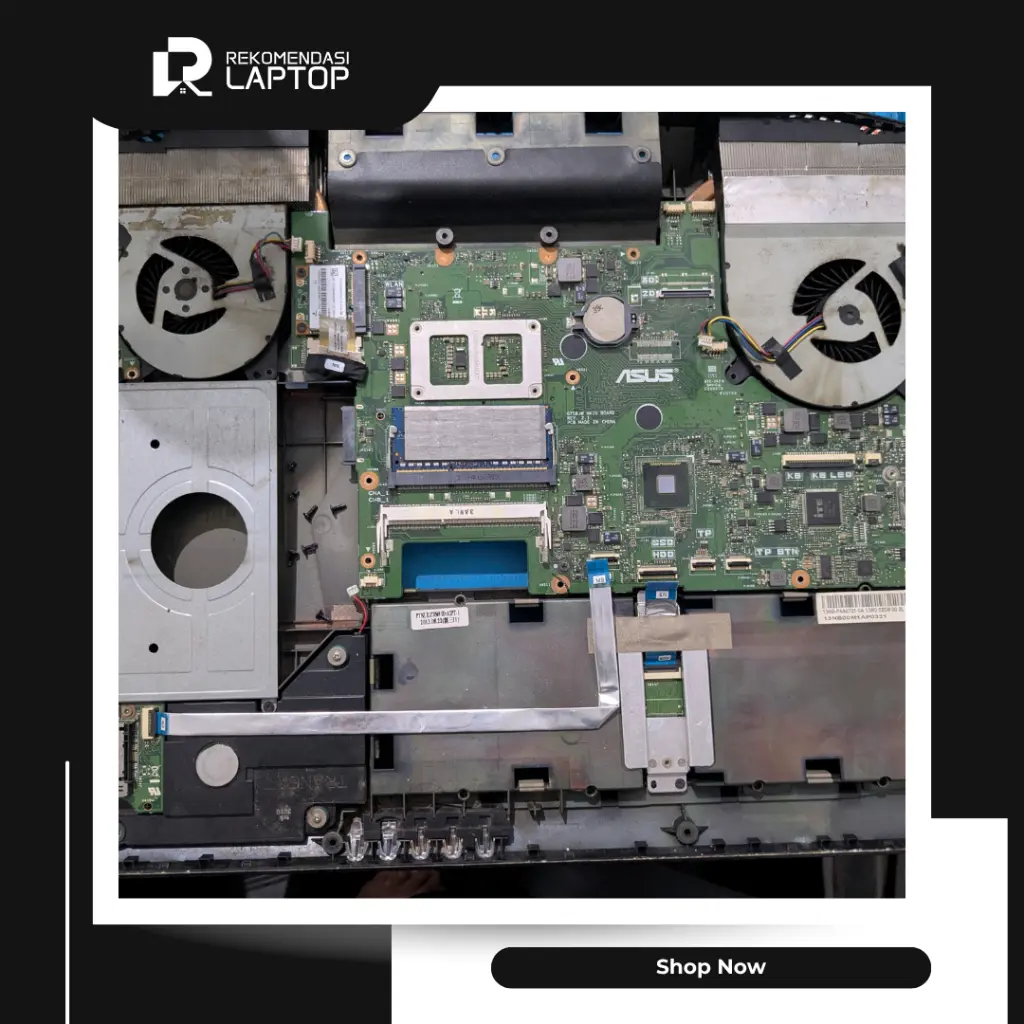 10.webp