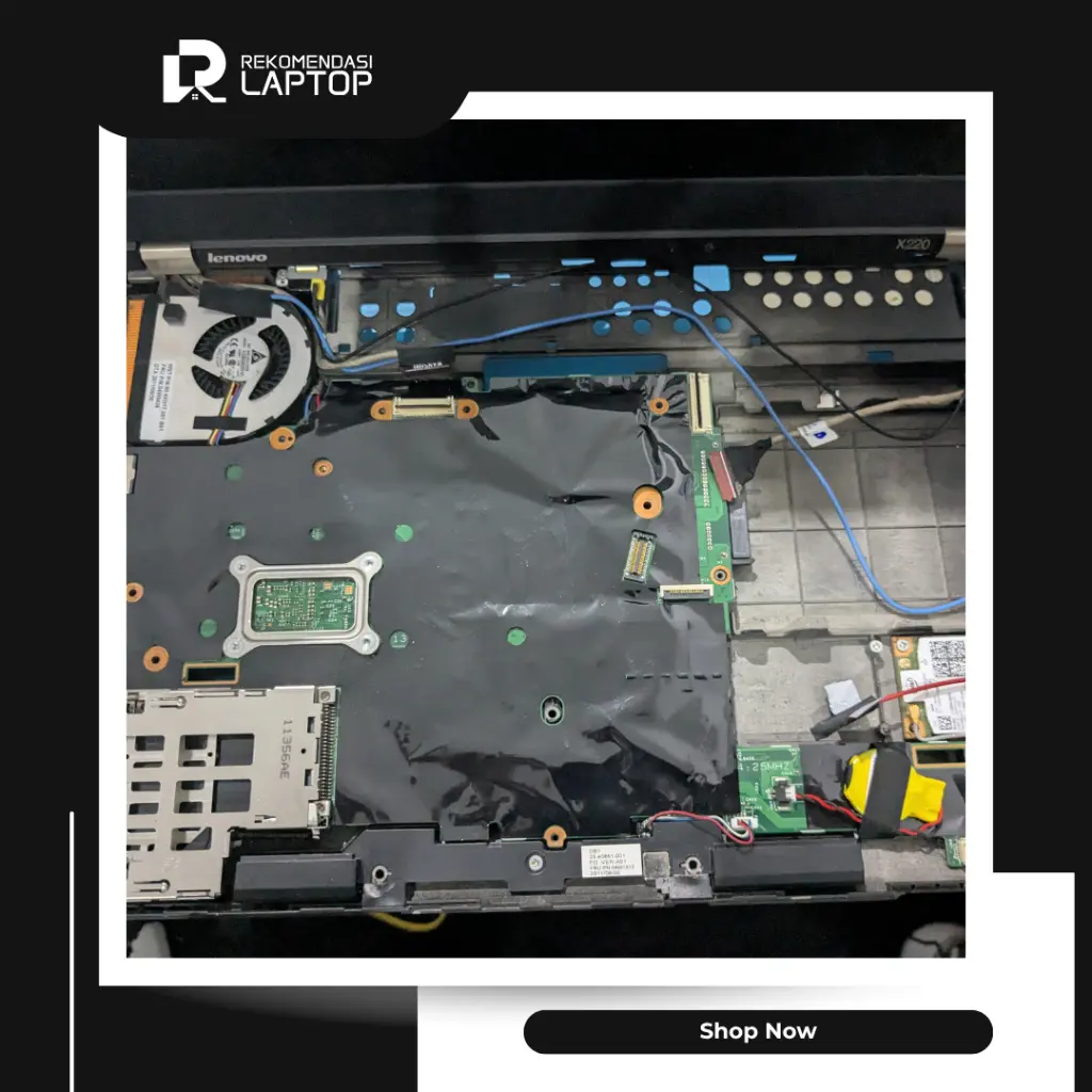 11.webp