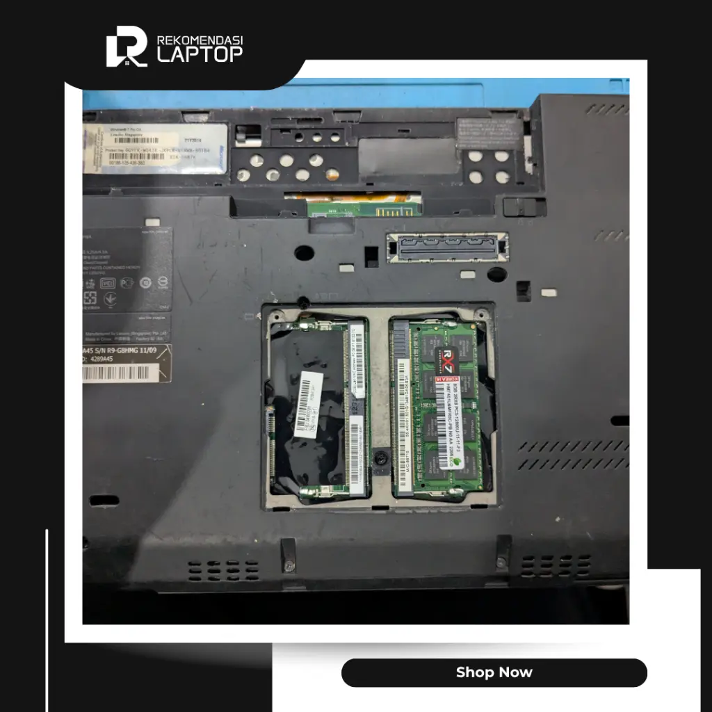 10.webp