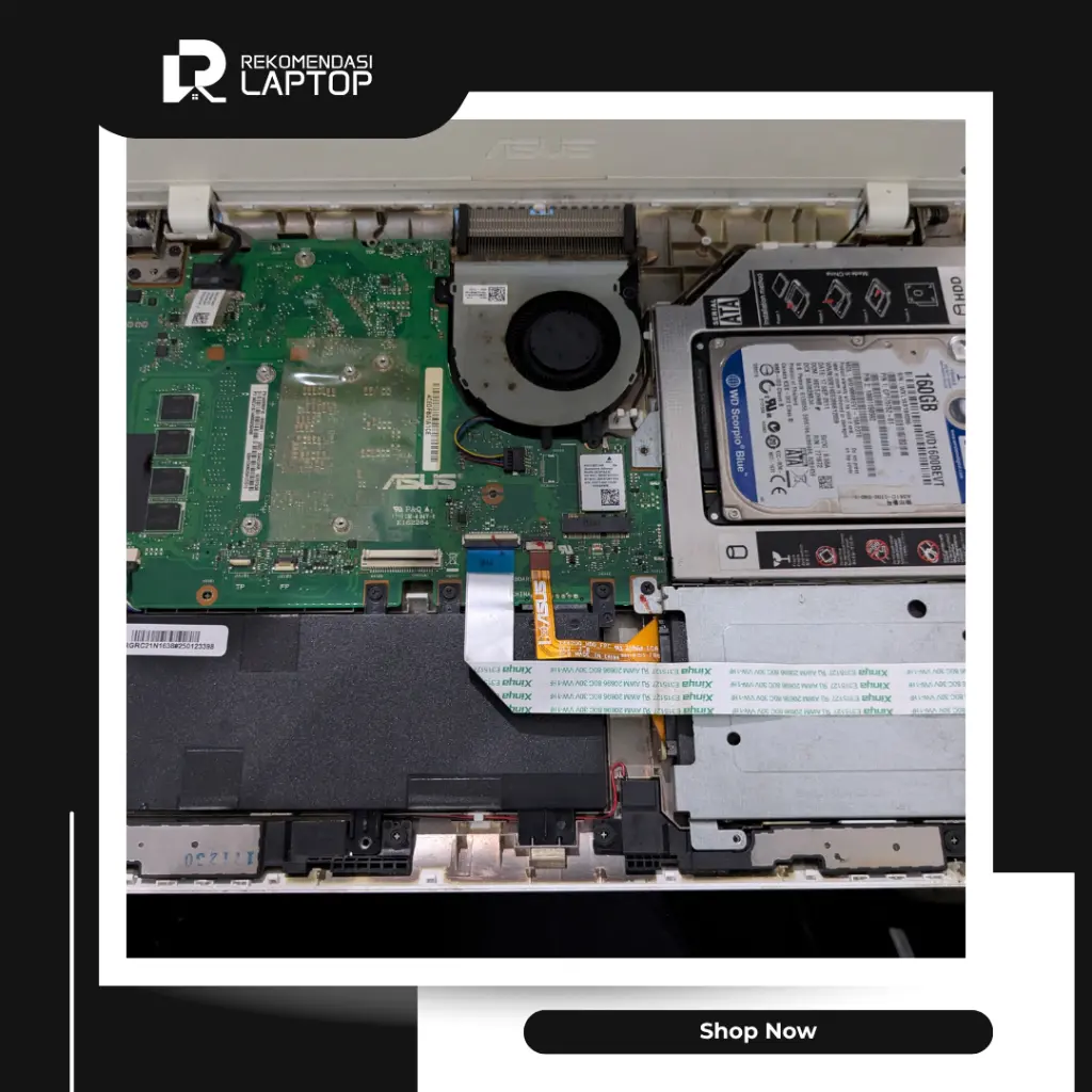11.webp
