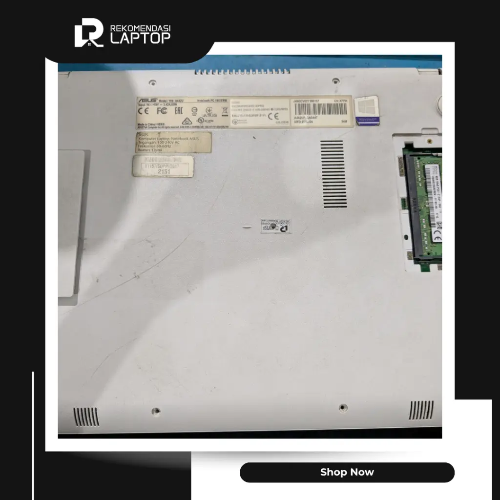 10.webp