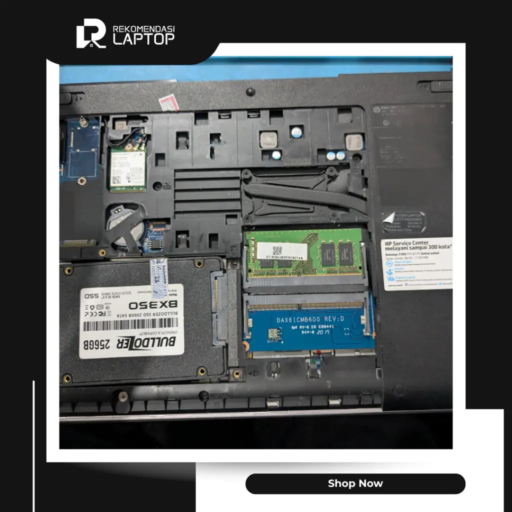 10.webp