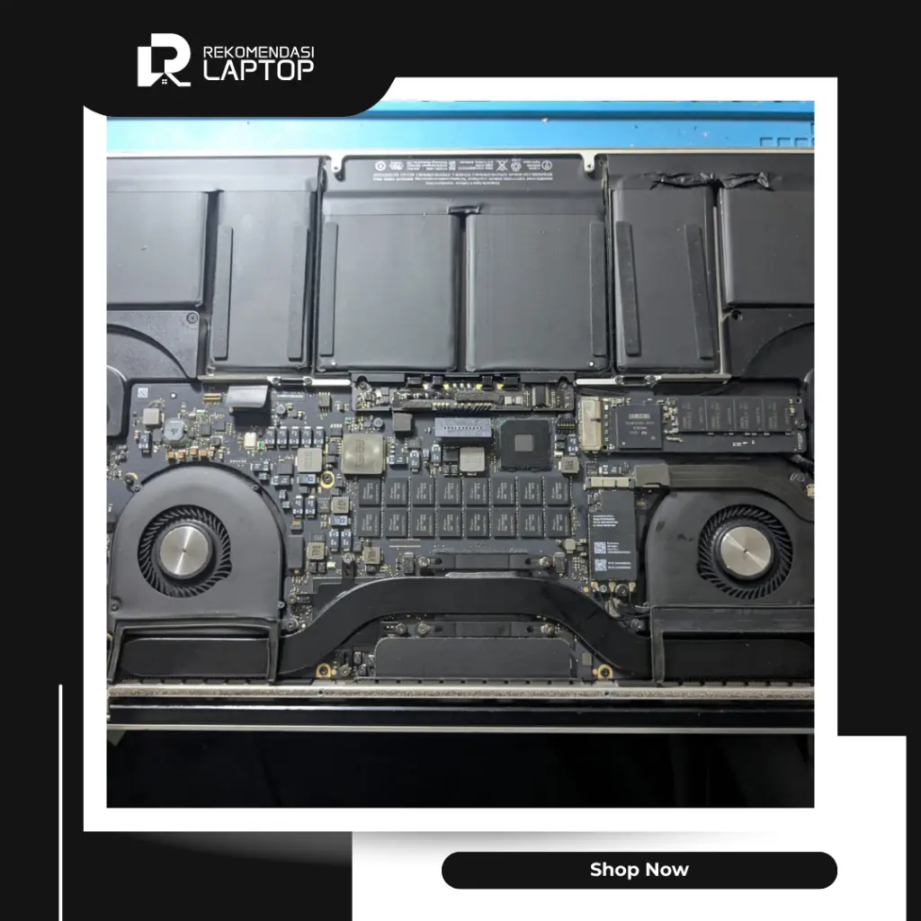 11.webp