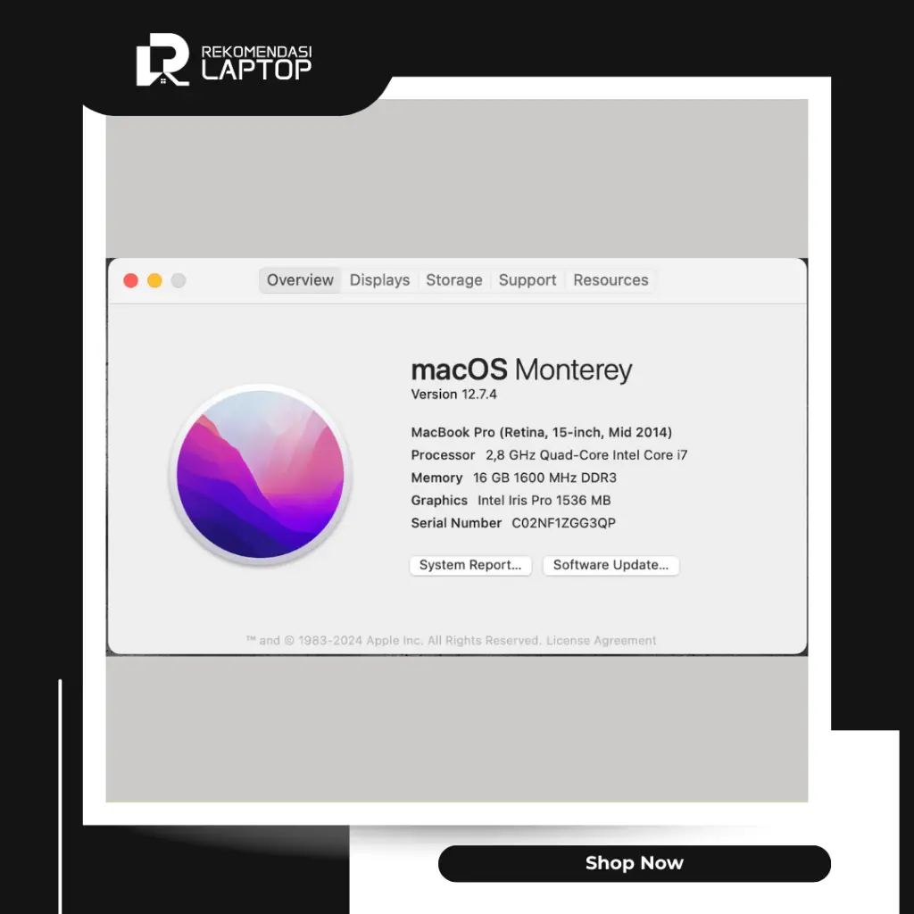 8.webp