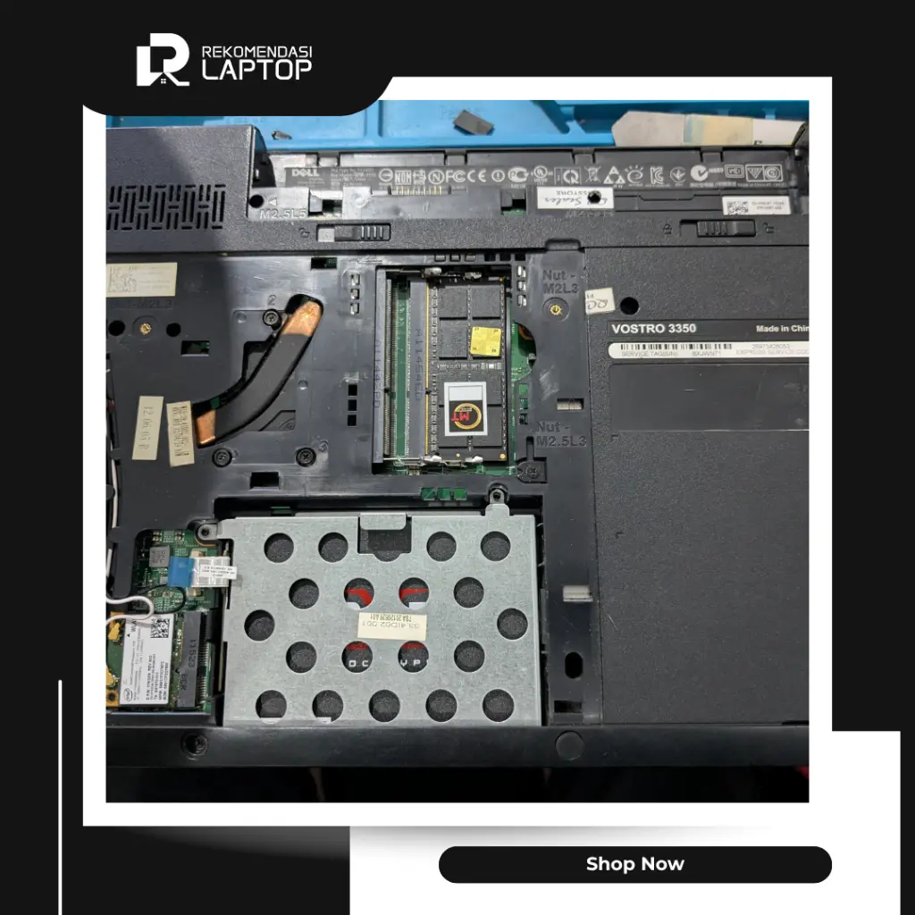 10.webp