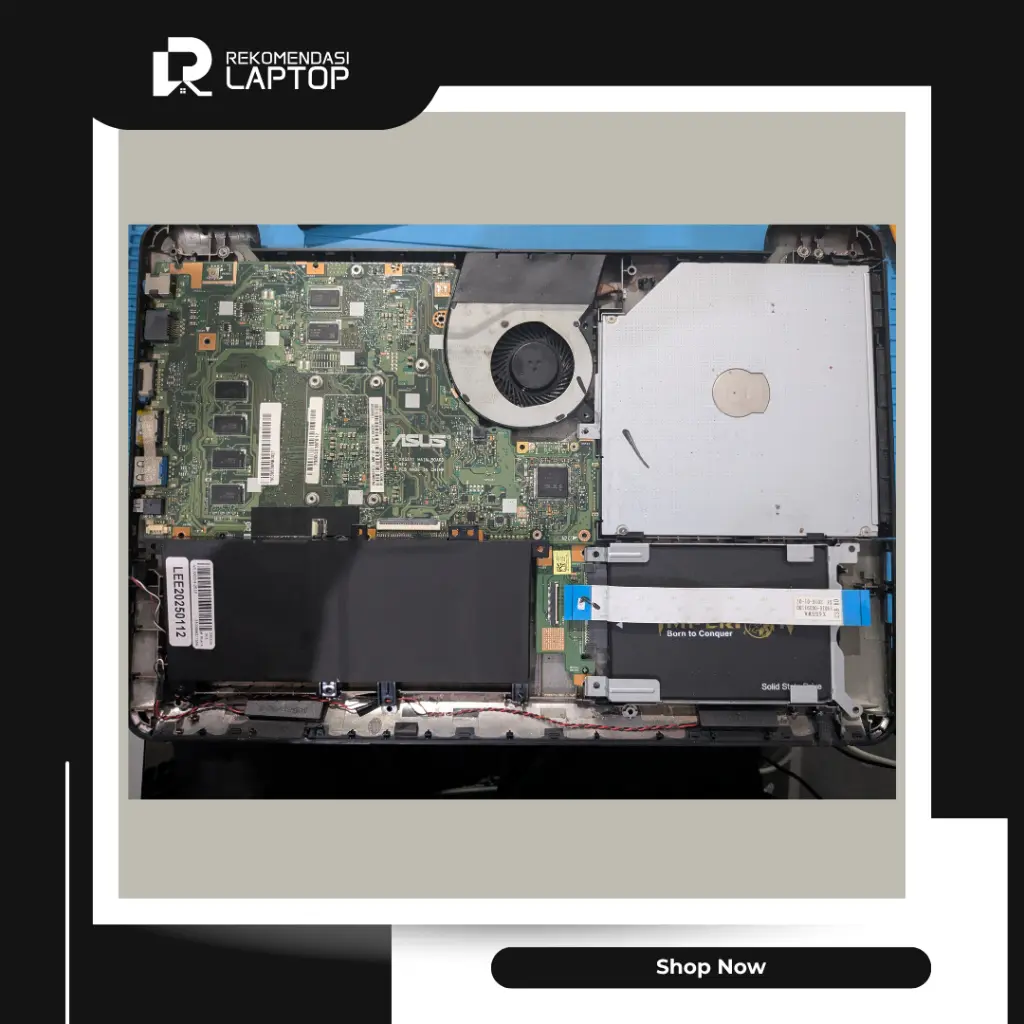 8.webp