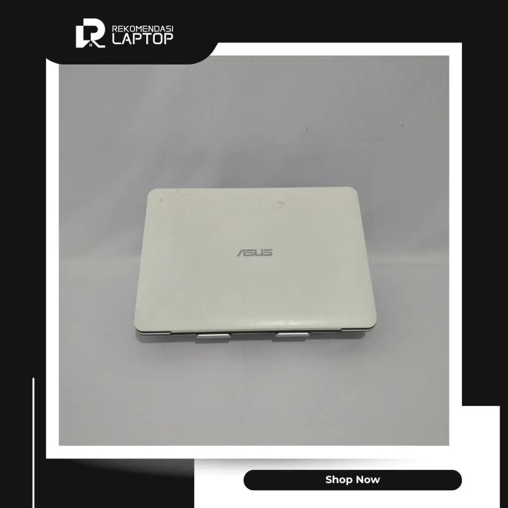 4.webp