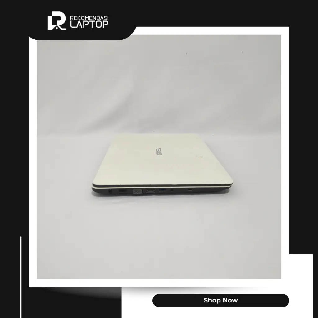 5.webp