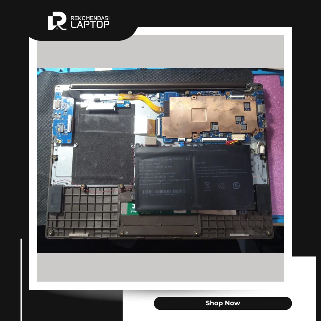10.webp