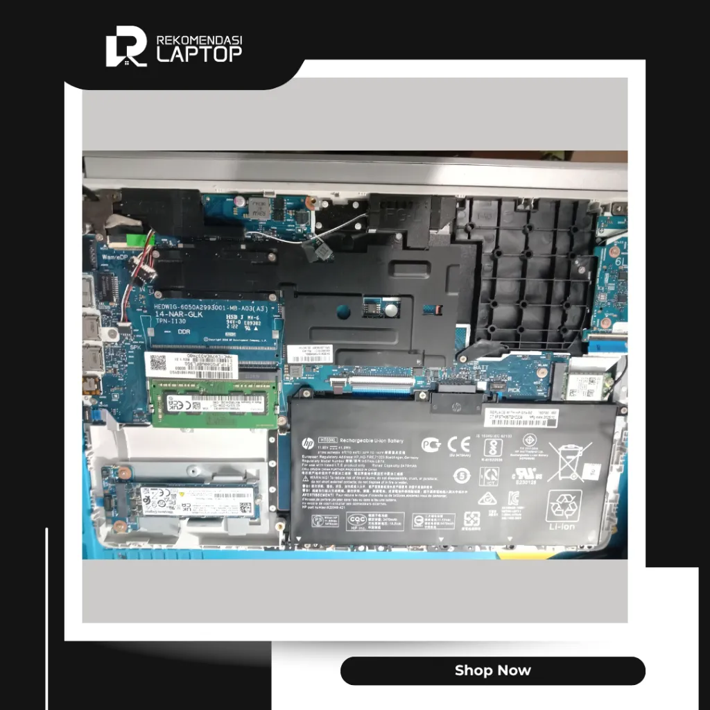 10.webp