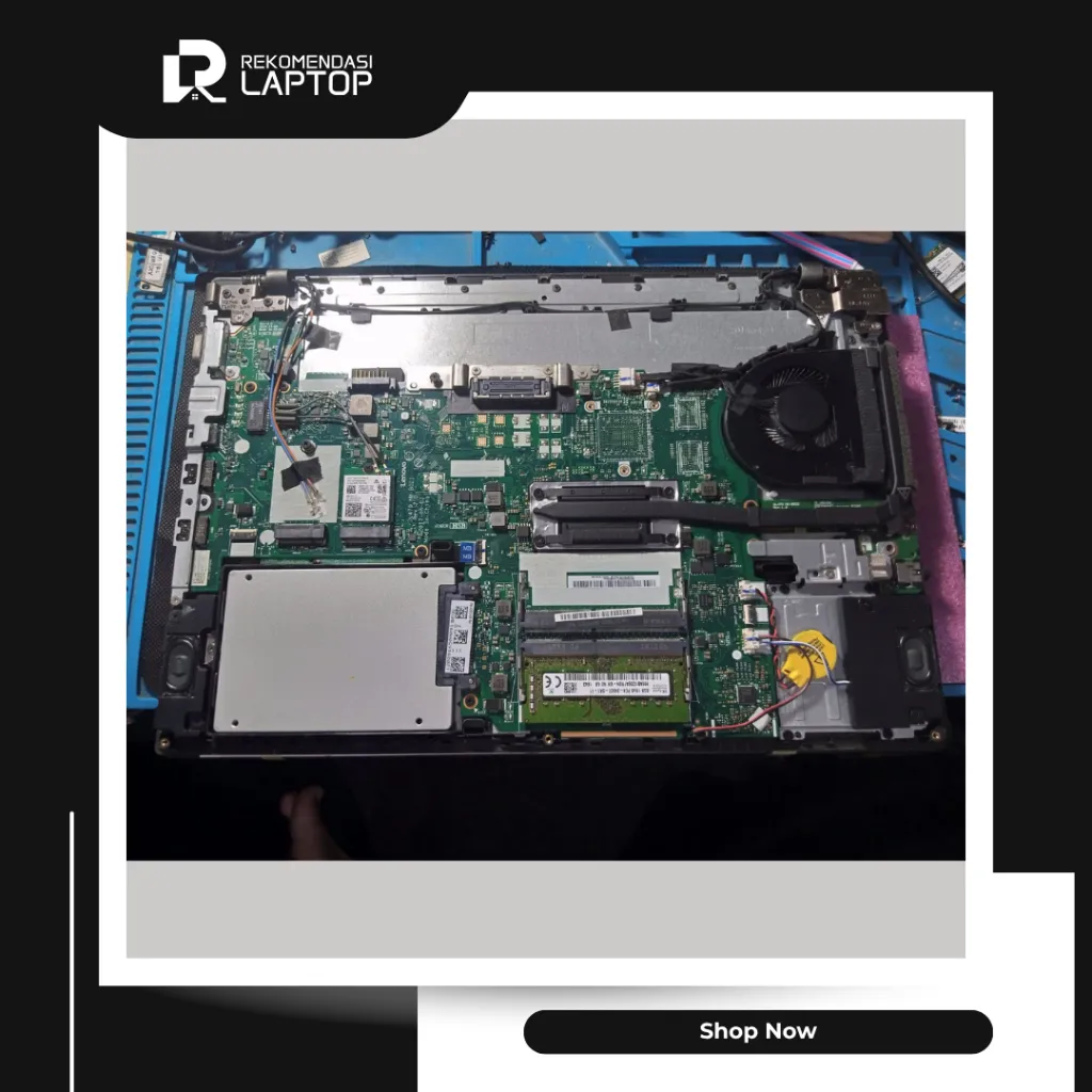 10.webp