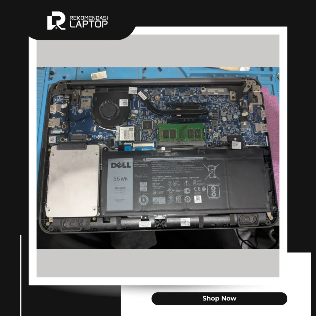 10.webp