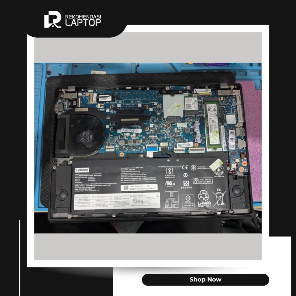 10.webp
