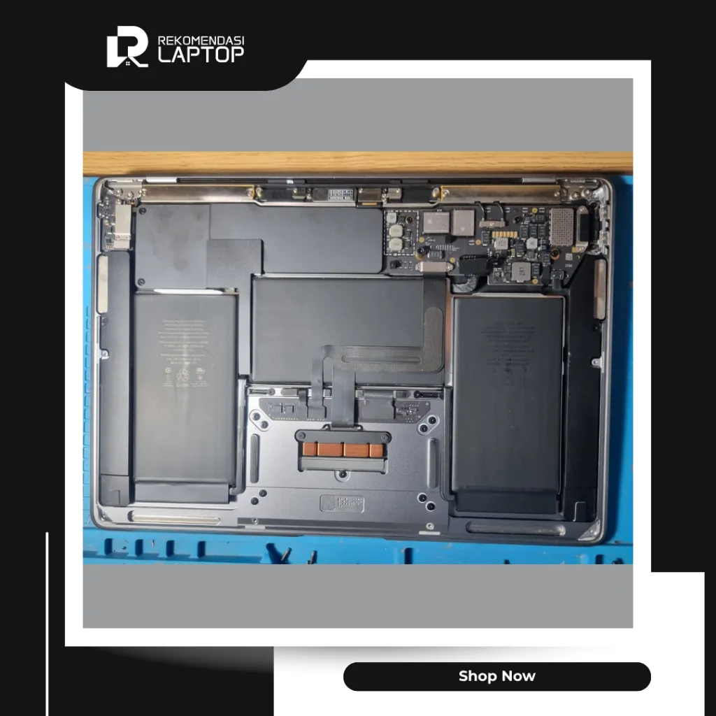 10.webp