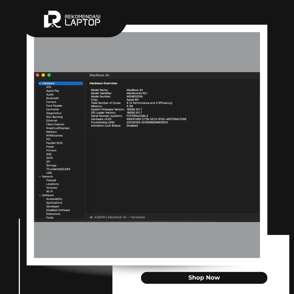 8.webp
