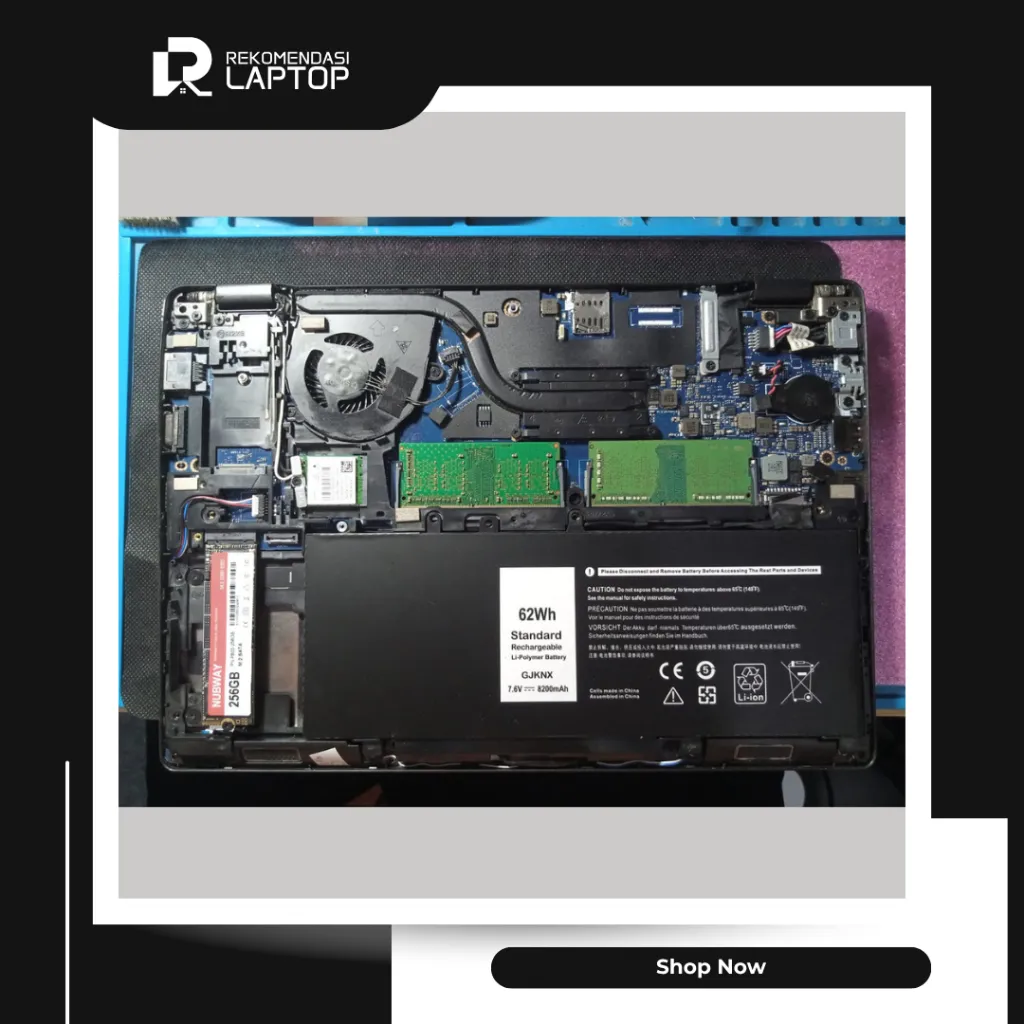 10.webp
