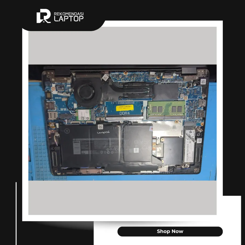 10.webp