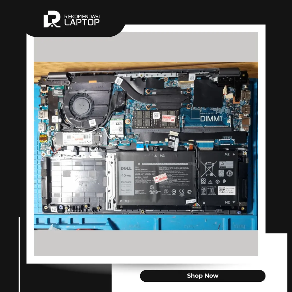 10.webp