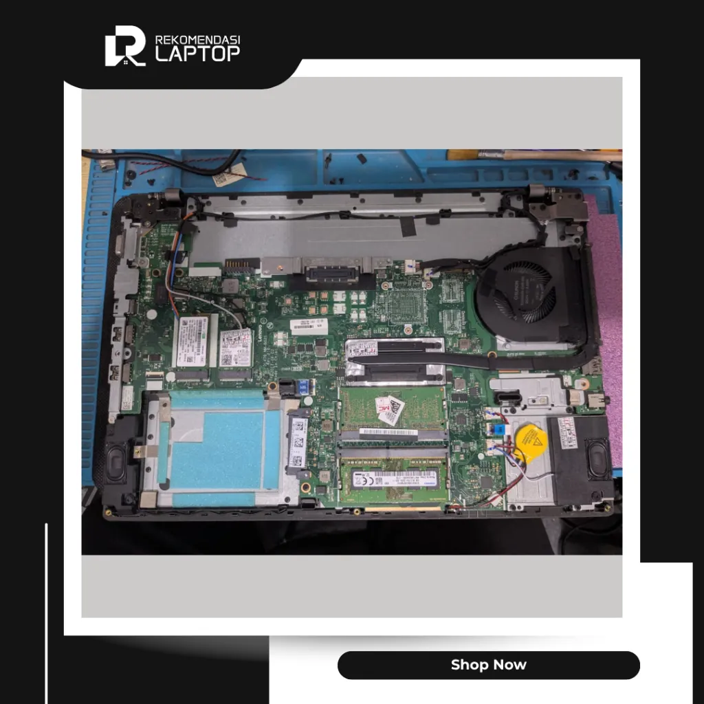 10.webp