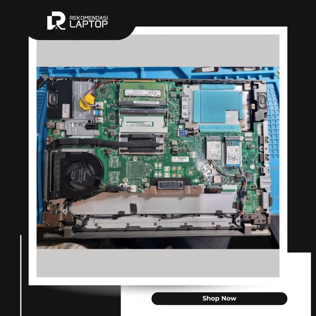 10.webp