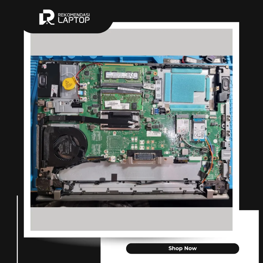 10.webp