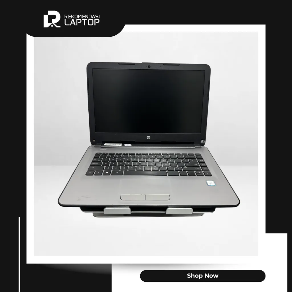 5.webp