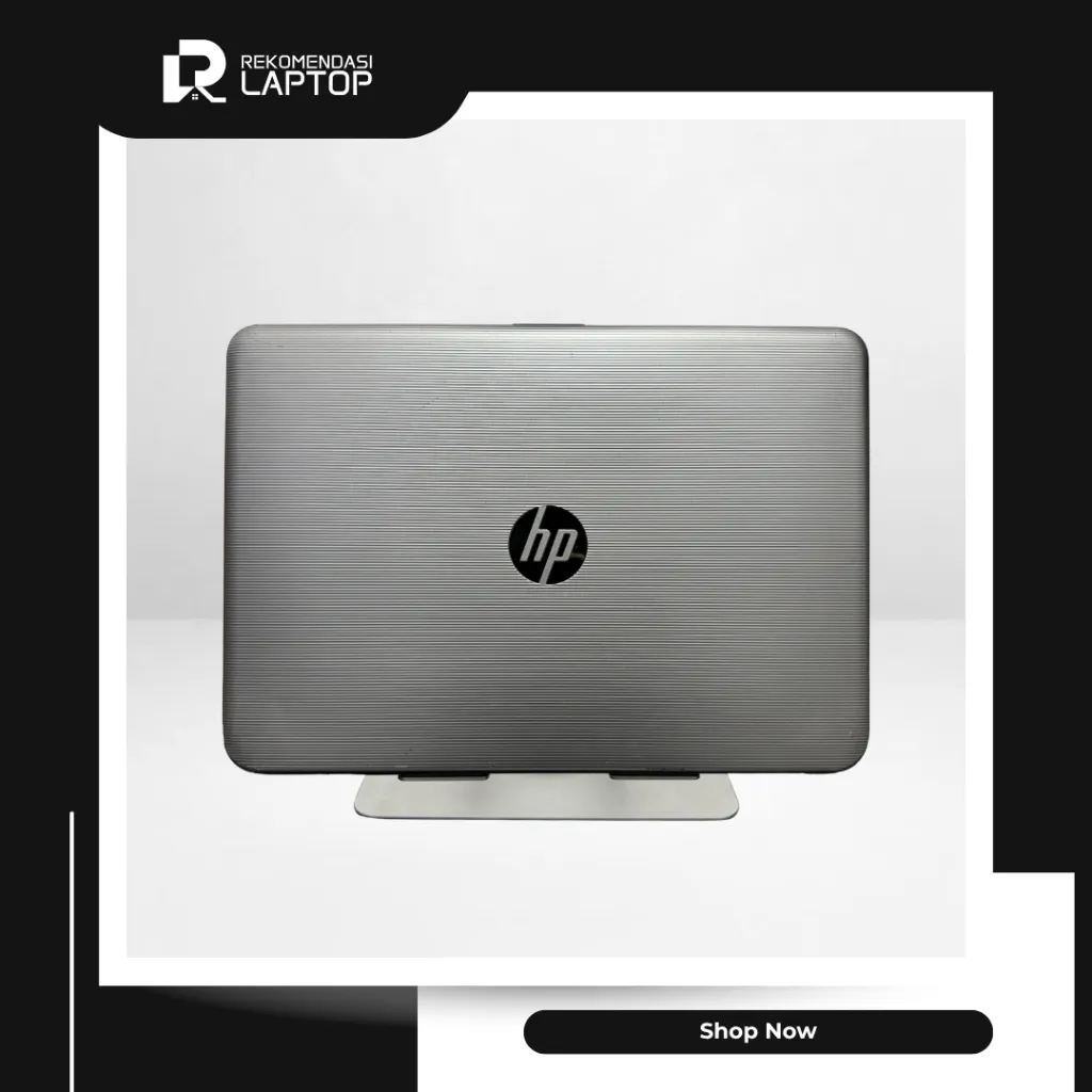 4.webp