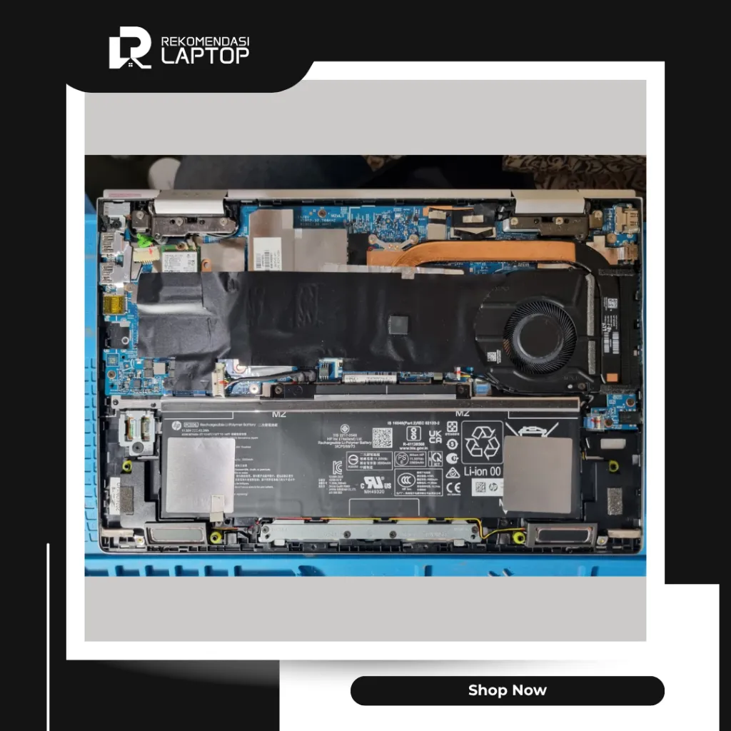 12.webp