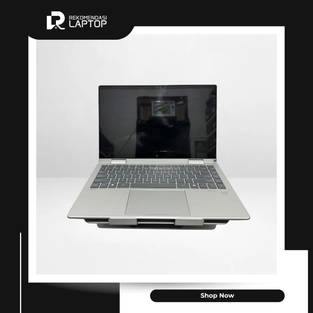 5.webp