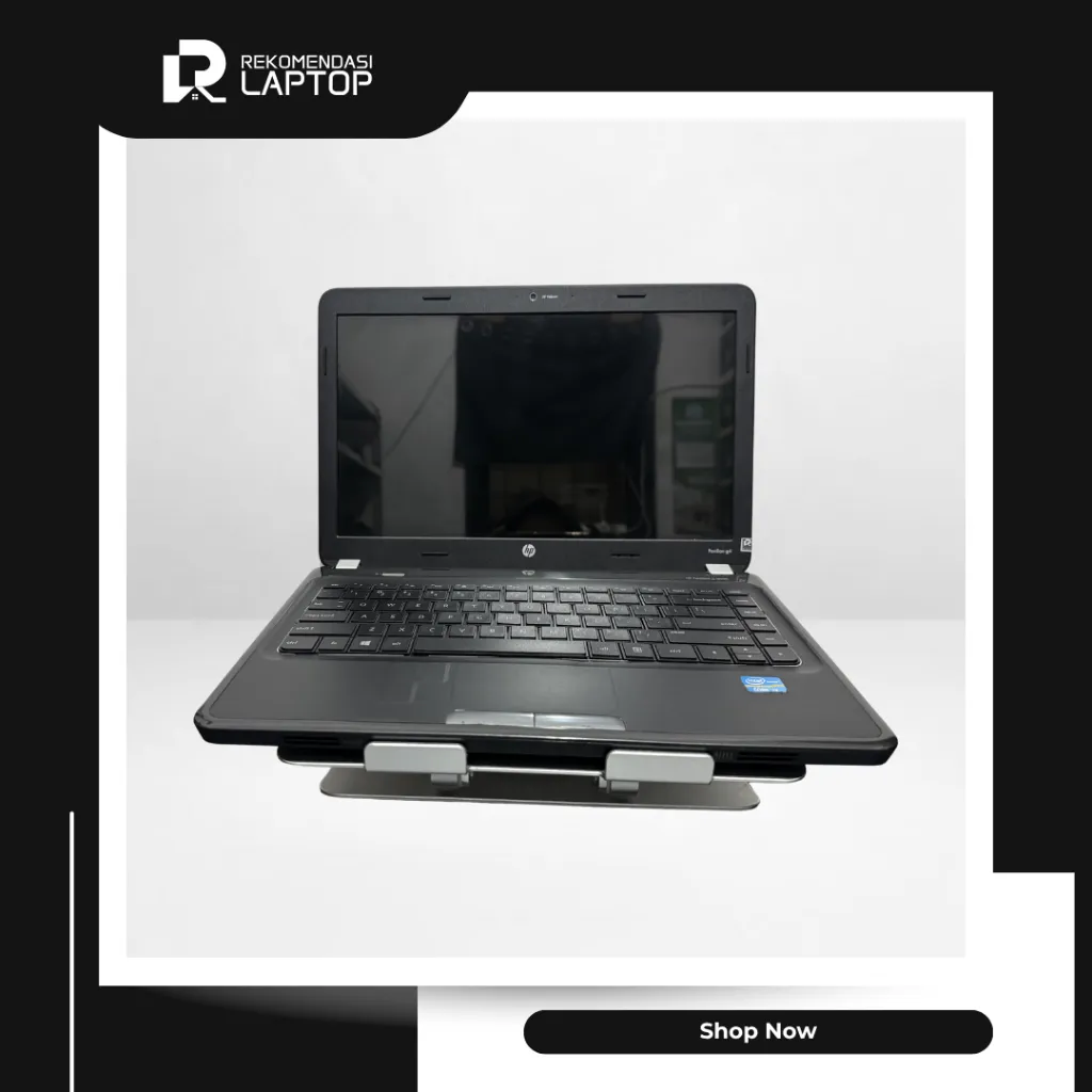 5.webp