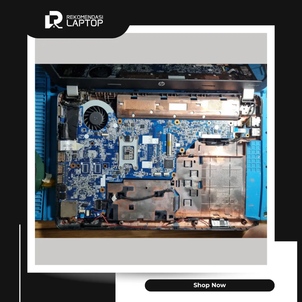 10.webp
