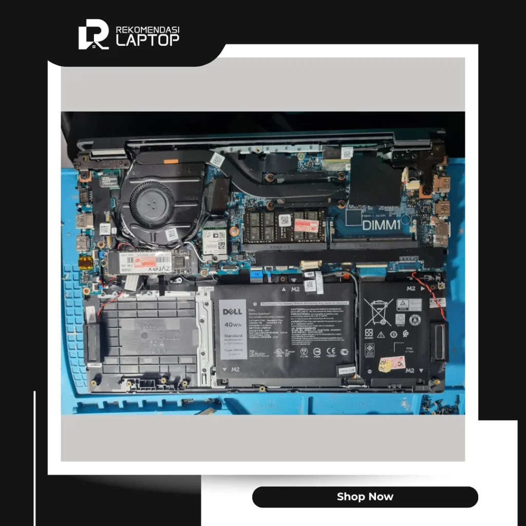 10.webp
