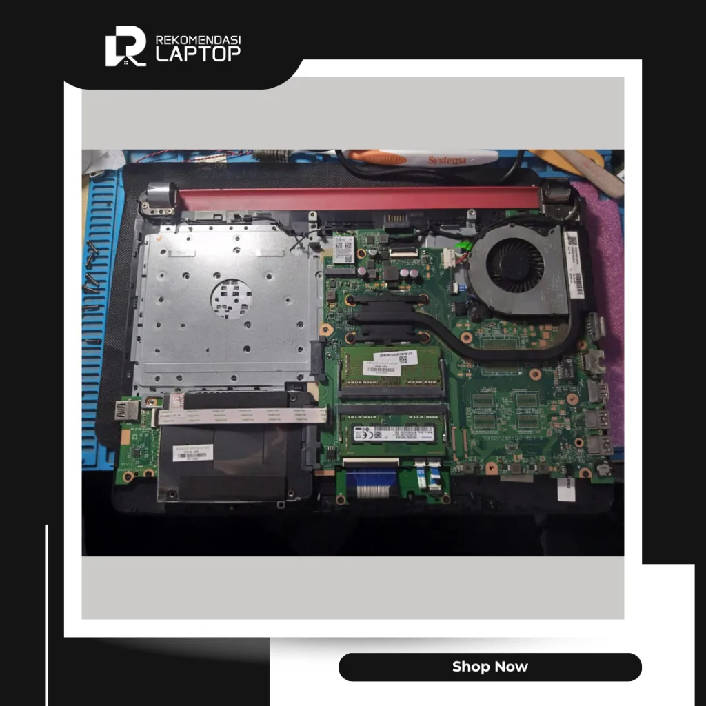 10.webp