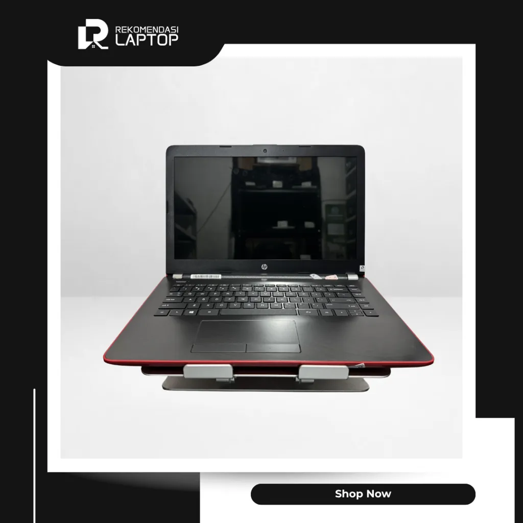 5.webp