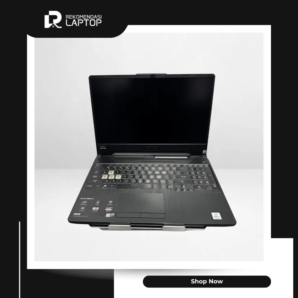 5.webp