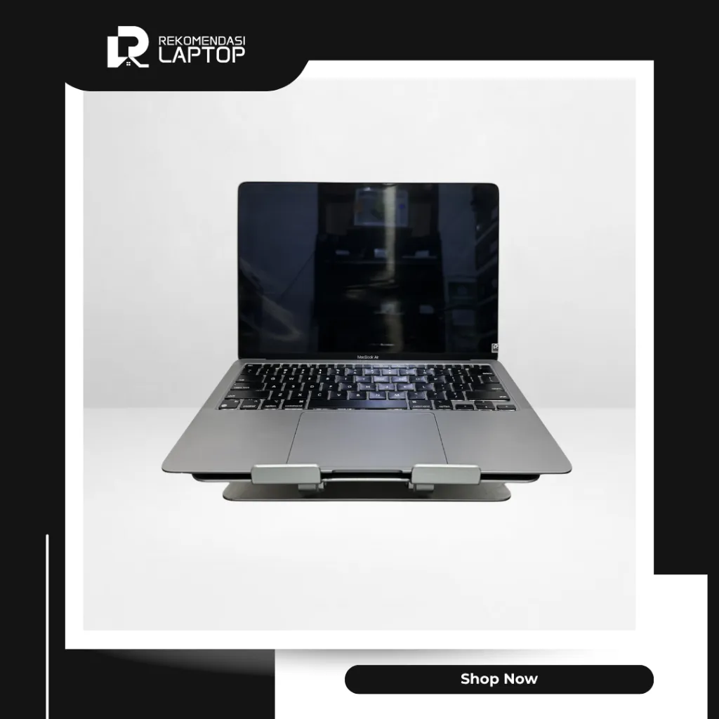 5.webp