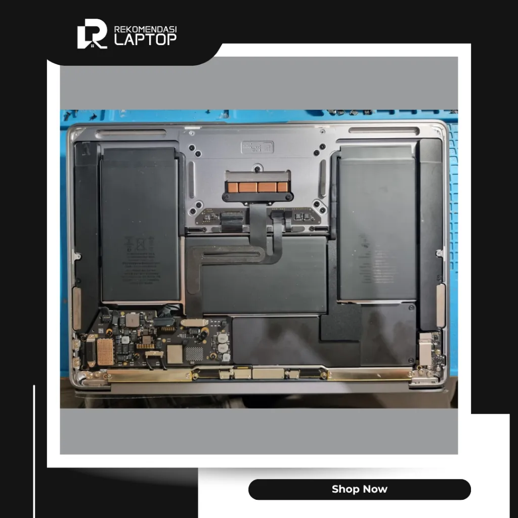 12.webp