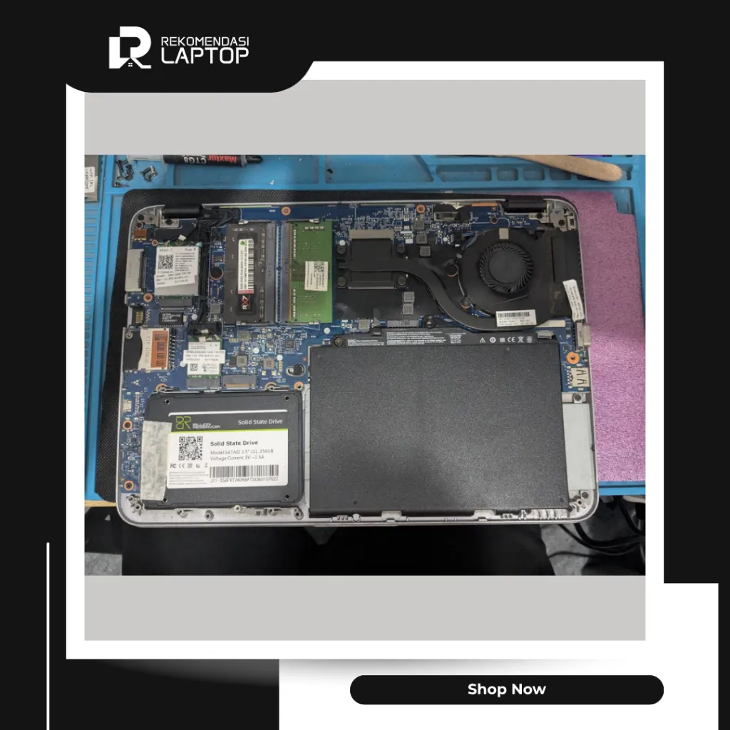 10.webp