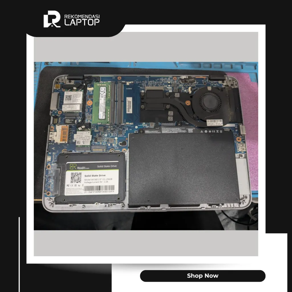 10.webp