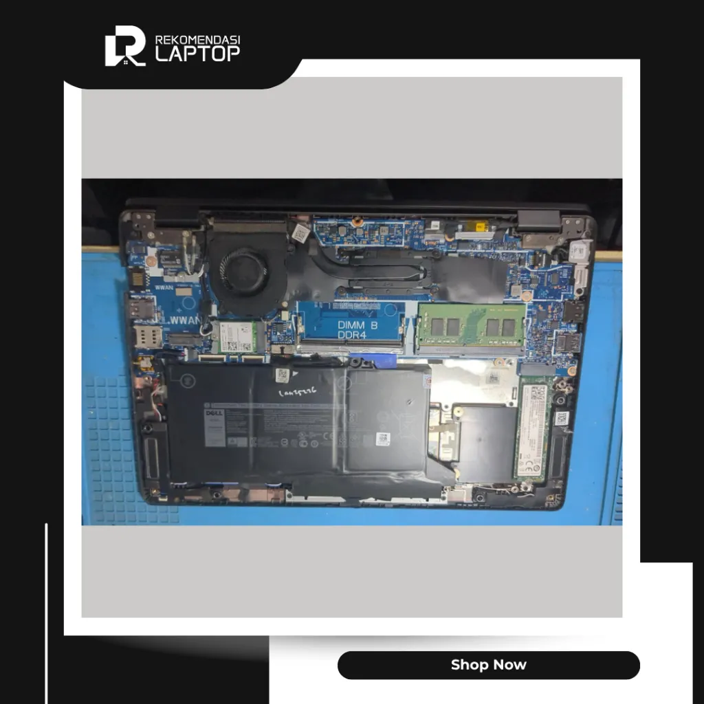 10.webp