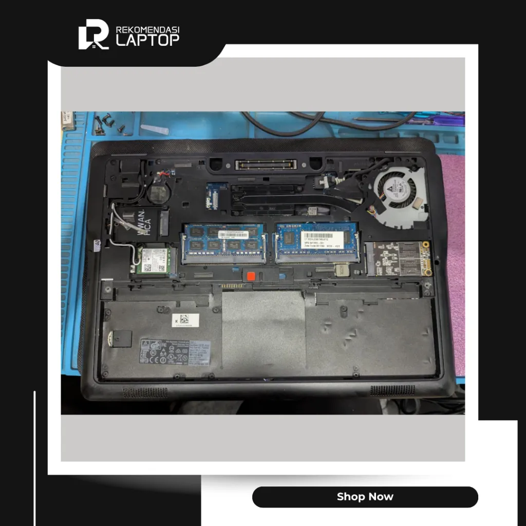 10.webp