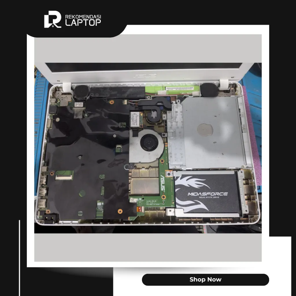 10.webp