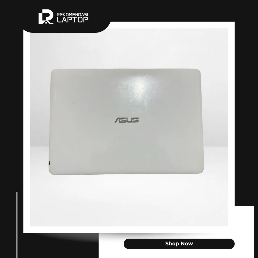 4.webp