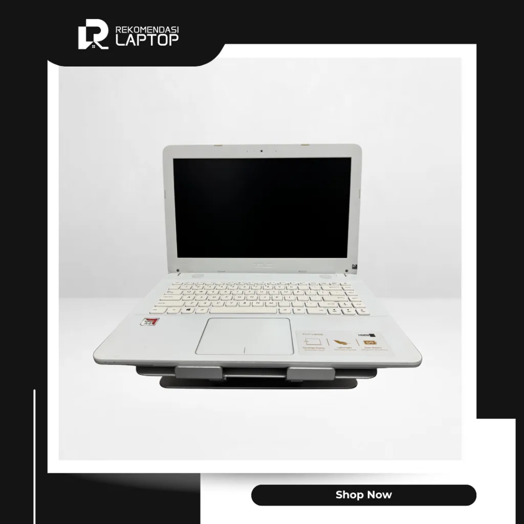 5.webp