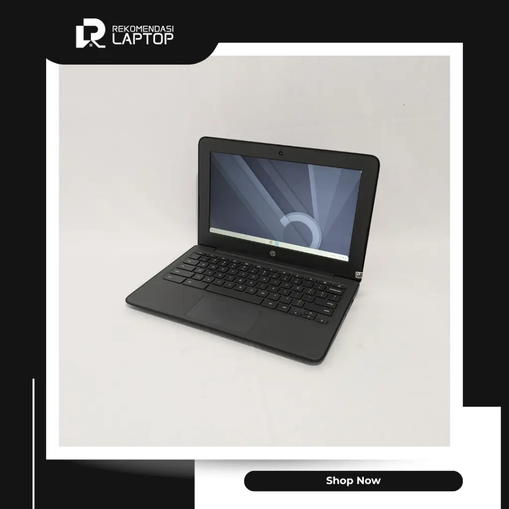 2.webp