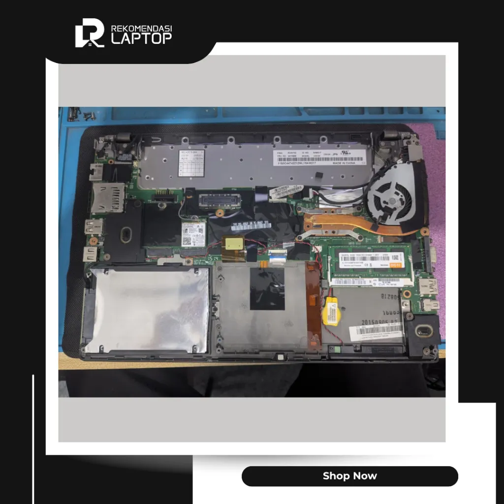 10.webp