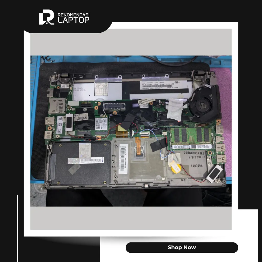 10.webp